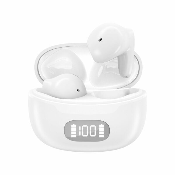 Máy trợ thính ENNO EN-D29B Pro - Ảnh 2