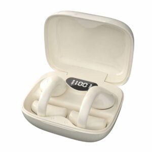 Máy trợ thính ENNO EN-D27